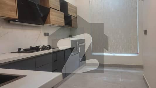 Most Luxurious House For Rent