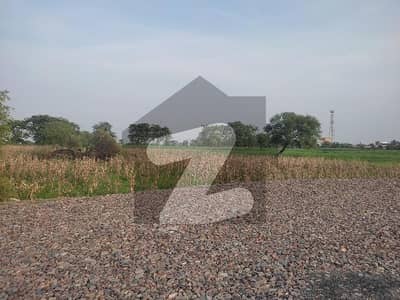 30 Acrs Agricultural Land For Sale Near Nankana Sahib