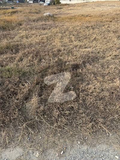 10.8 Marla Solid Land Plot for Sale in B-17 Islamabad | Prime Location | Ideal for House & Investment