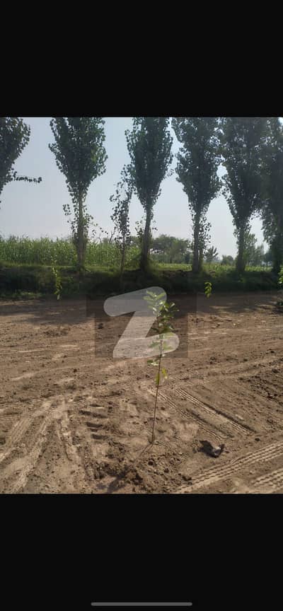 160 Kanal Agricultural Land For Sale 3 Side Open 5000 Feet Front In Roads