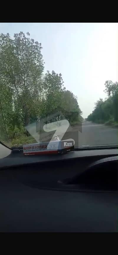 ملتان روڈ لاہور میں 158 کنال زرعی زمین 63.2 کروڑ میں برائے فروخت۔