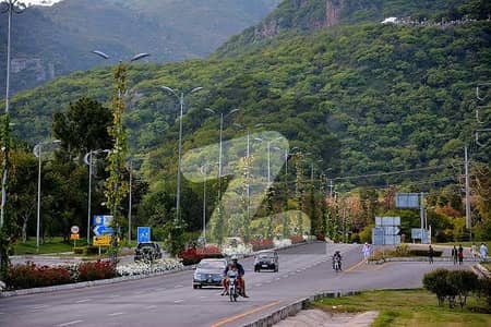 70Ft Road , Ali Road   40_80 = 14 Marla Plot For sale in F 14,15