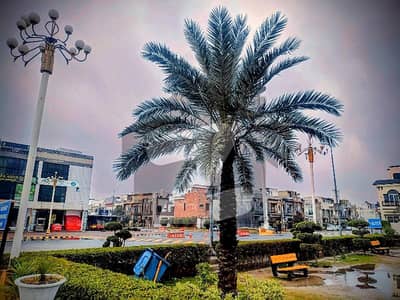 Abu Bakar Block 3 Marla Plot For Sale