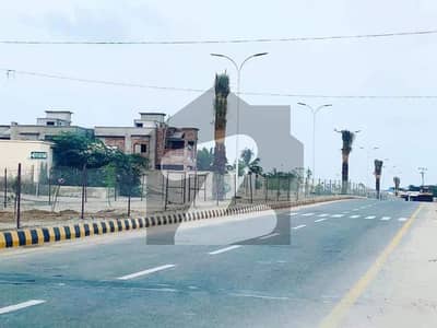 Commercial Plot On Marian Drive