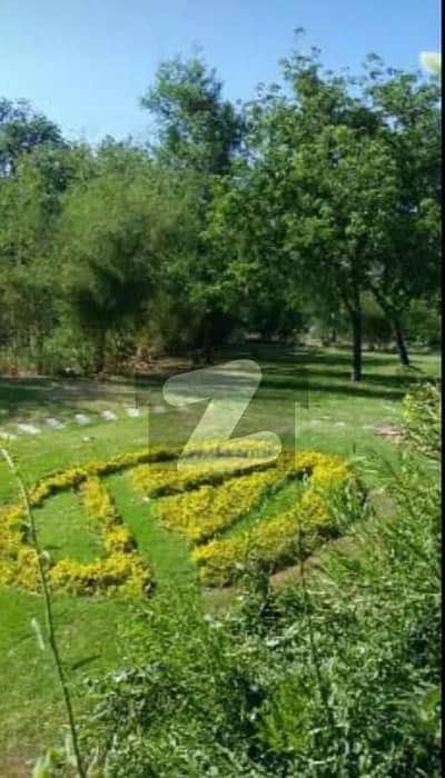 Investor Alert F7 Size 60100 666 Square Yard New House with Basement 6 Bedrooms with attached Bathroom Drawing and Dining TV Lounge Kitchen