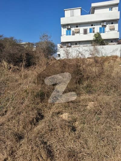 Prime Location Plot For Sale