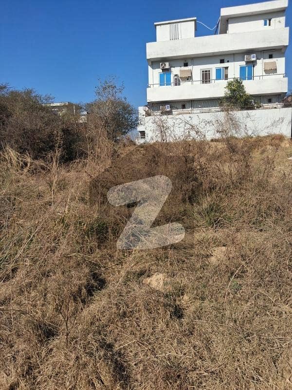 Prime Location Plot For Sale Prime Location Plot For Sale