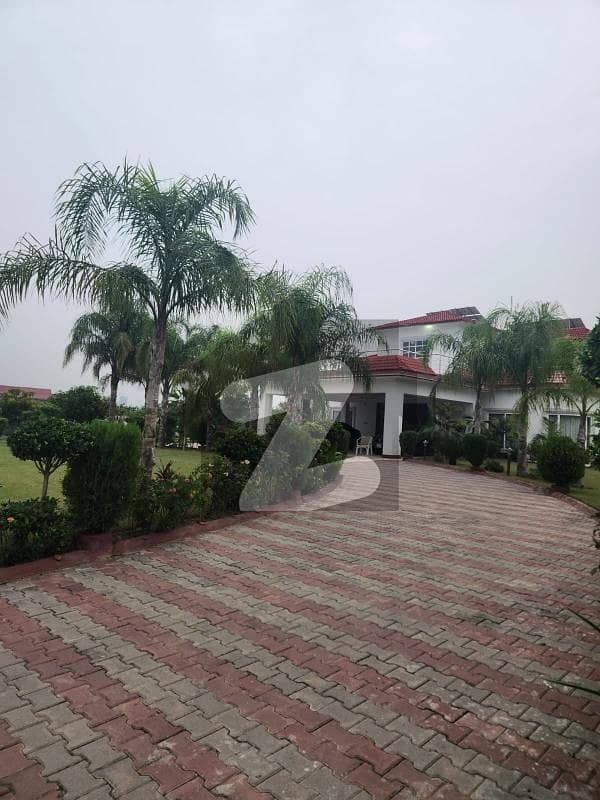 Golden Resort Golden Resort