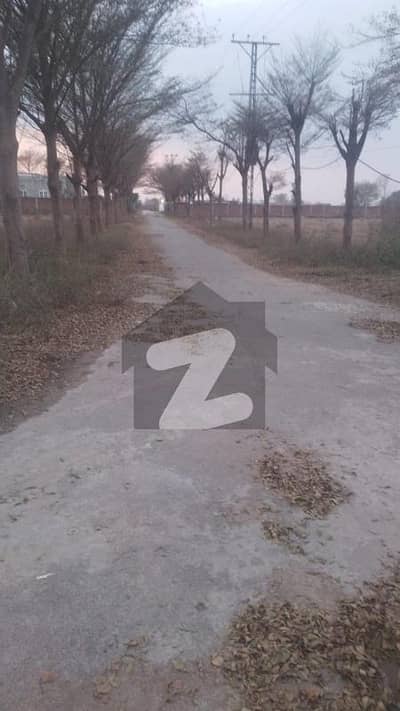 8 kanal farmhouse land