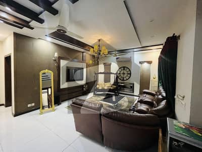 Luxury Furnished Portion