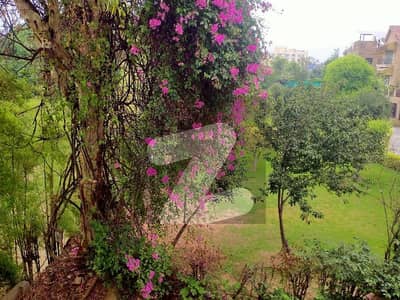 F-11/1 Upper Portion 2'Bed Separate Gate For Rent