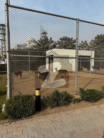 5 Marla Plot - Tulip Extension, Park View City - Ideal for Home & Investment