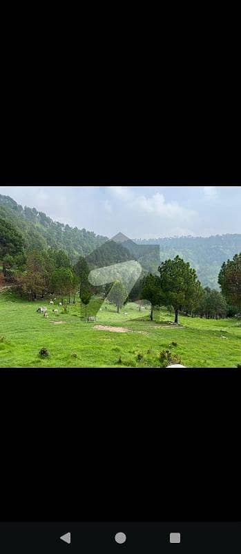 پیر سوہاوا روڈ پیر سوہاوا,اسلام آباد میں 10 کنال زرعی زمین 2.2 کروڑ میں برائے فروخت۔