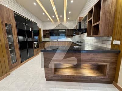 Beautiful Brand New House For Rent