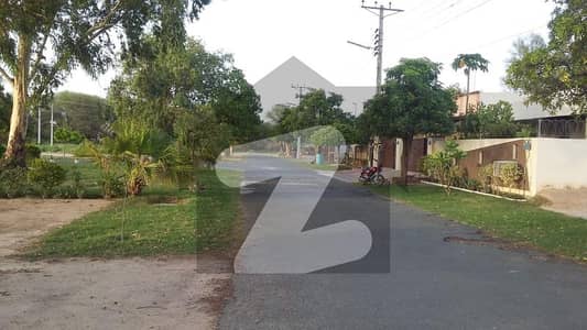 واپڈا سٹی ۔ بلاک ایم واپڈا سٹی,فیصل آباد میں 10 مرلہ رہائشی پلاٹ 1.25 کروڑ میں برائے فروخت۔