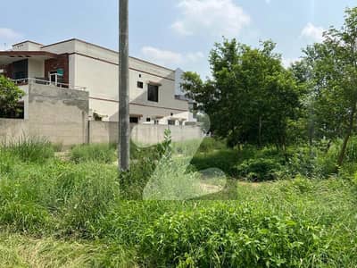 15 MARLA PLOT FOR SALE IN GOOD LOCATION