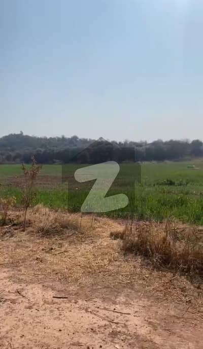 FARM HOUSE FOR SALE! | + AGRICULTURE LAND | 600 KANAL | + CATTLE FARM HOUSE | BEAUTIFUL LOCATION | GOOD APPROACH | ATTOCK | ATTOCK ROAD