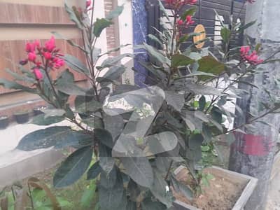 Plot On Good Location