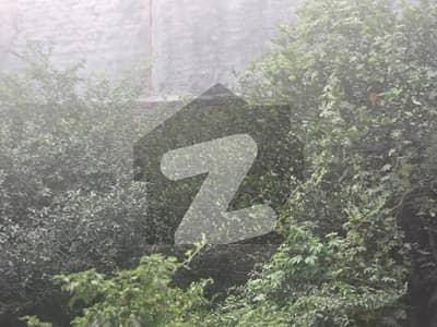 1 Kanal Building For Grabs In Harbanspura