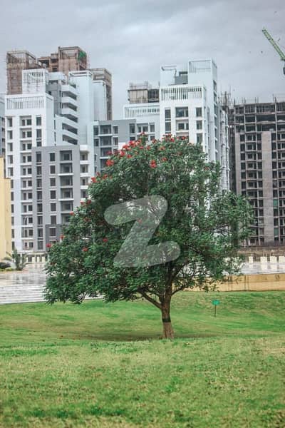 Plot For Sale Block M Naya Nazimabad