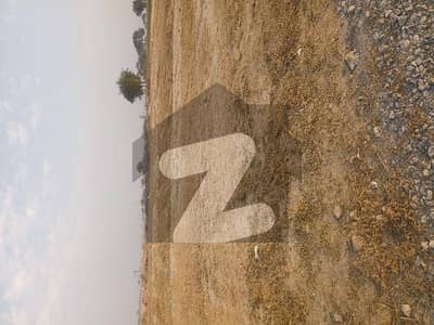 University Town commercial