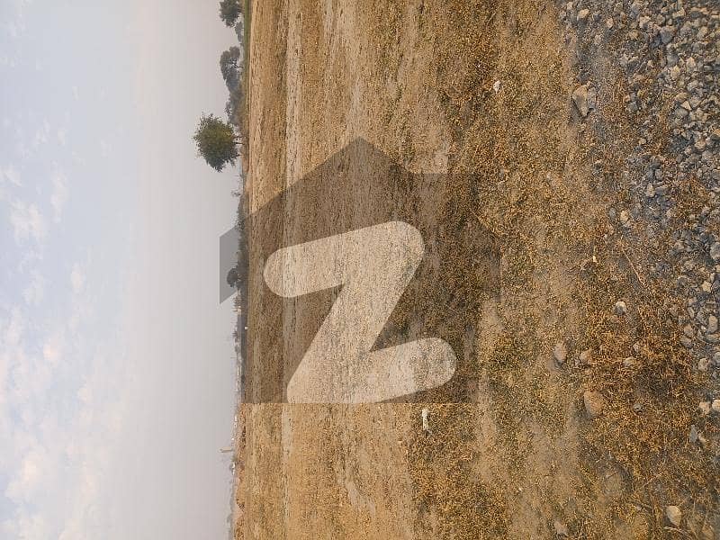 University Town commercial University Town commercial