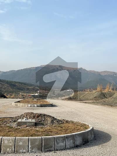 C-14 Top Location Plot For Sale