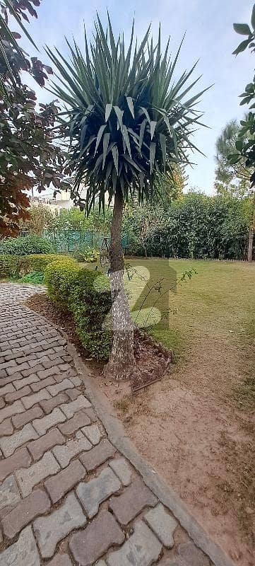 With Extra Land 1 Kanal House Available For Sale