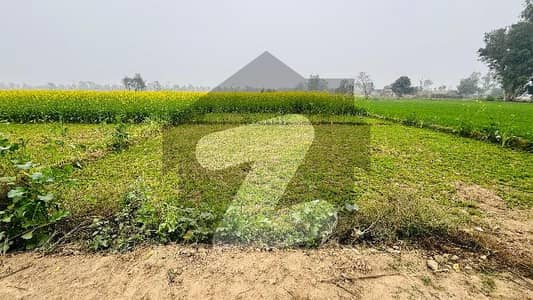 BEDIAN ROAD 2 KANAL AGRICULTURAL LAND FOR SALE