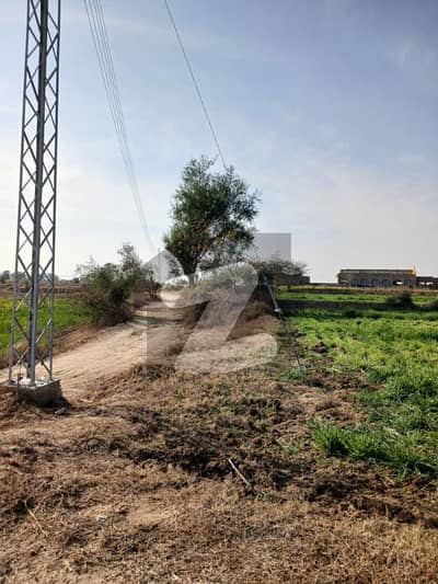جھلم روڈ چکوال میں 72 کنال زرعی زمین 2.88 کروڑ میں برائے فروخت۔