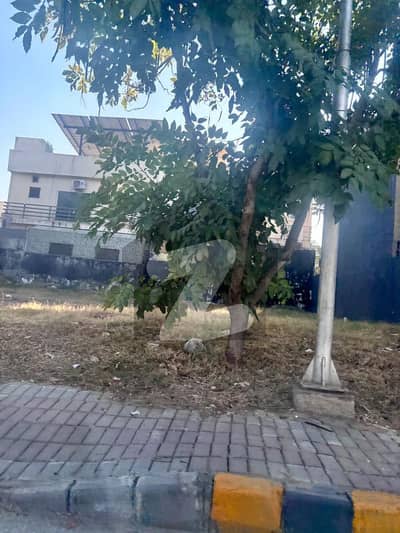 بحریہ ٹاؤن فیز 8 ۔ ابو بکر بلاک بحریہ ٹاؤن فیز 8 ۔ سفاری ویلی,بحریہ ٹاؤن فیز 8,بحریہ ٹاؤن راولپنڈی,راولپنڈی میں 7 مرلہ رہائشی پلاٹ 90.0 لاکھ میں برائے فروخت۔