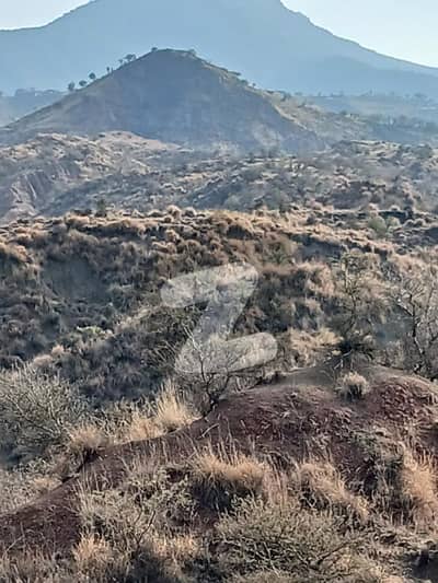 جھلم روڈ چکوال میں 1100 کنال پلاٹ فارم 10.0 کروڑ میں برائے فروخت۔