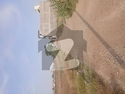 Available West Open Ideal Location And Reasonable