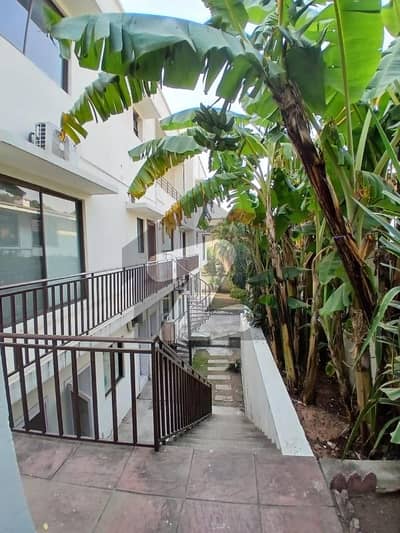 Beautiful Luxury 5 Bedroom House For Rent In F-10 Islamabad Near Markaz Prime VIP Location And Beautiful Garden.