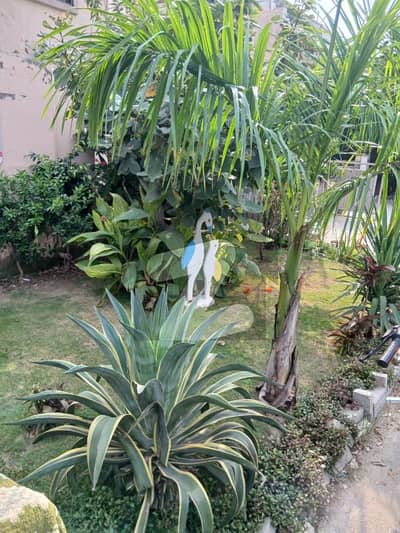 Very good location near park and 100 ft road