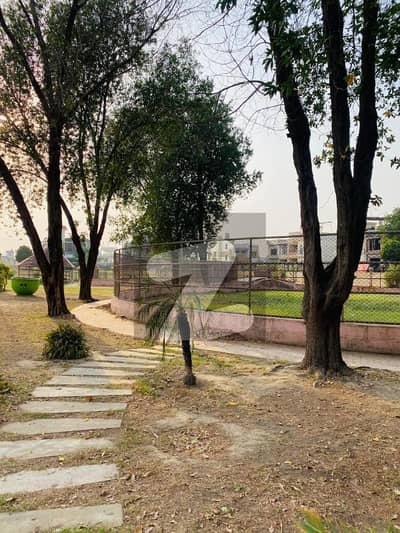 Very near pine avenue and lake city Possession pair plots