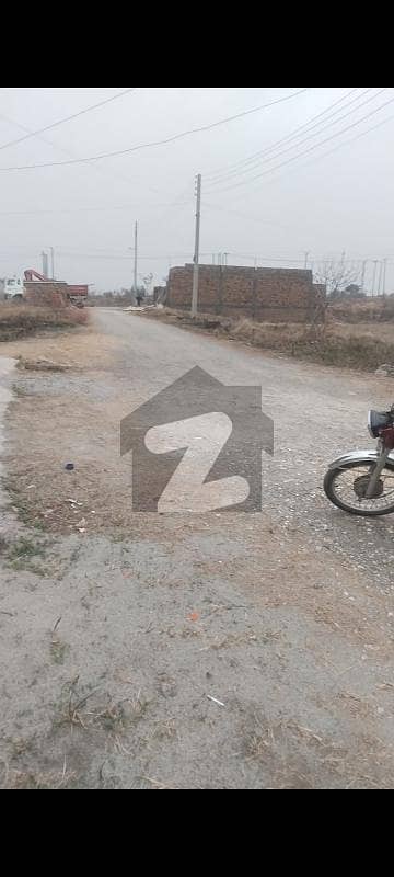 5marla Sun face Ideal Option