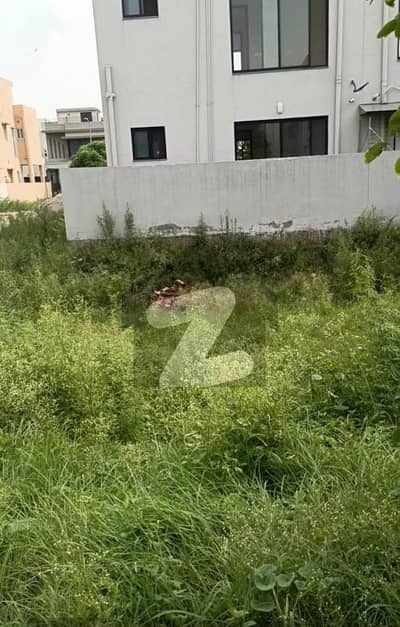 ڈی ایچ اے فیز 7 - بلاک وائے فیز 7,ڈیفنس (ڈی ایچ اے),لاہور میں 10 مرلہ رہائشی پلاٹ 1.7 کروڑ میں برائے فروخت۔ ڈی ایچ اے فیز 7 - بلاک وائے فیز 7,ڈیفنس (ڈی ایچ اے),لاہور میں 10 مرلہ رہائشی پلاٹ 1.7 کروڑ میں برائے فروخت۔