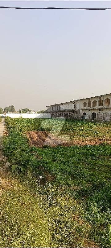 poltrifarm. in Chak Shahzad farm house