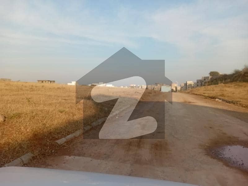 Beautiful corner plot Beautiful corner plot