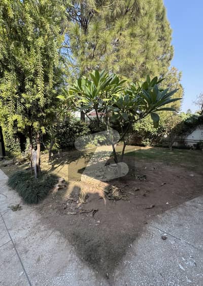 ایف ۔ 10 اسلام آباد میں 5 کمروں کا 1 کنال مکان 3.25 لاکھ میں کرایہ پر دستیاب ہے۔