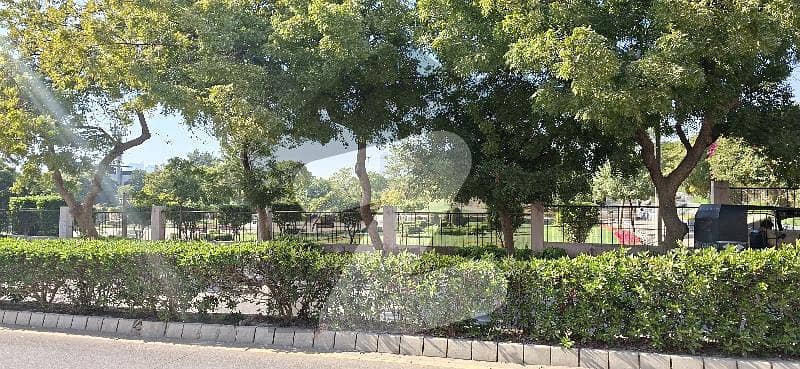 fully recovered Bungalow Park FACING fully recovered Bungalow Park FACING