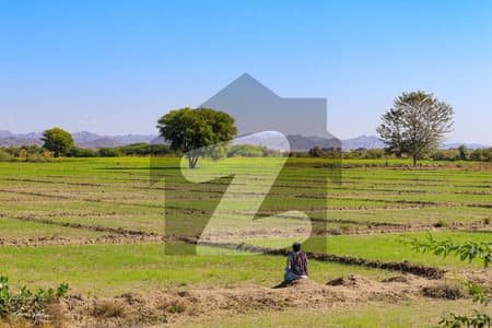 Agricultural Land for Sale Mouza Kiakalat