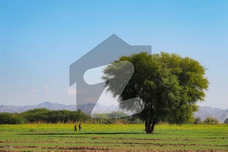 Agricultural Land for Sale Mouza Jorkan