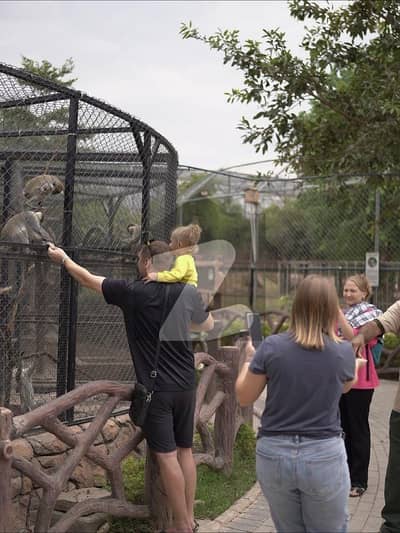 ایم پی سی ایچ ایس - بلاک اے ایم پی سی ایچ ایس ۔ ملٹی گارڈنز,بی ۔ 17,اسلام آباد میں 1 کنال رہائشی پلاٹ 3.25 کروڑ میں برائے فروخت۔