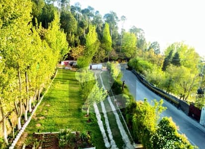 3 Kanal Plot with two beds room apartment - Facing Kashmir Road