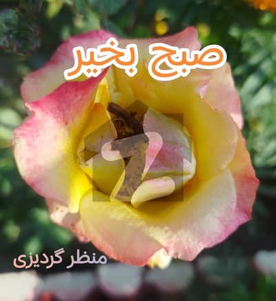 B17 A block 60 90 prime location plot available for sale in very reasonable price