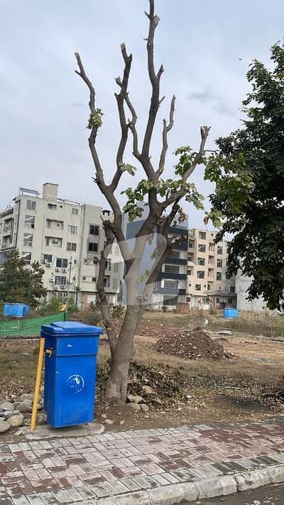 بحریہ منی کمرشل سینٹر بحریہ ٹاؤن فیز 7,بحریہ ٹاؤن راولپنڈی,راولپنڈی میں 5 مرلہ کمرشل پلاٹ 3.2 کروڑ میں برائے فروخت۔