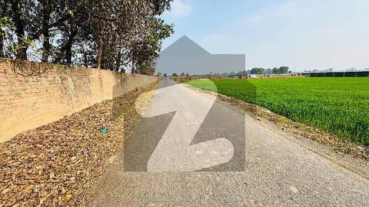 BEDIAN ROAD LAHORE 8 KANAL FARM HOUSE PLOT CARPET ROAD ELECTRICITY AVAILABLE GAS AVAILABLE