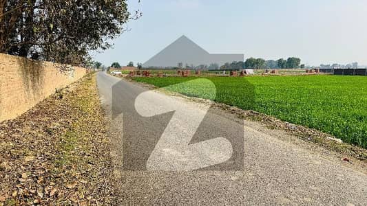 BEDIAN ROAD LAHORE 8 KANAL FARM HOUSE PLOT CARPET ROAD ELECTRICITY AVAILABLE GAS AVAILABLE
